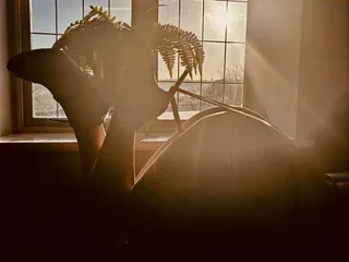 KatieCarterX, 41yo cam performer